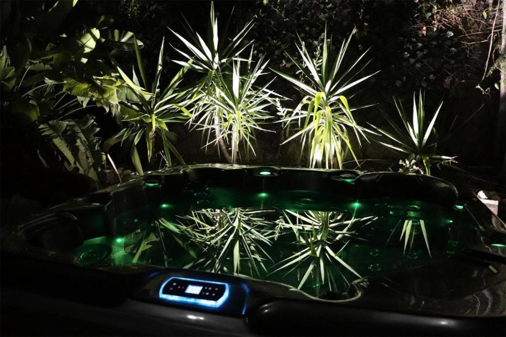 Luxury Jacuzzi Home & Terraces Малага Екстериор снимка